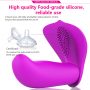 Butterfly Wearable G-spot Clit Remote Control Vibrator (4)