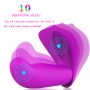 Butterfly Wearable G-spot Clit Remote Control Vibrator (4)