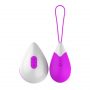 Dorr Spot Wireless Rechargeable Egg Vibrator (4)