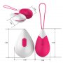 Dorr Spot Wireless Rechargeable Egg Vibrator (4)