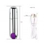 Sex Purple Desire Luxury Rechargeable Silver Vagina Stimulator Massager Mini bullet Vibrator Adult Toys