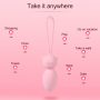 Sex Purple We-Vibe Bloom Rechargeable App Controlled Vibrating Kegel Balls