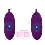 USB Powered Vibrating Double Dual Egg Bullet Vibe Vibrator (1)