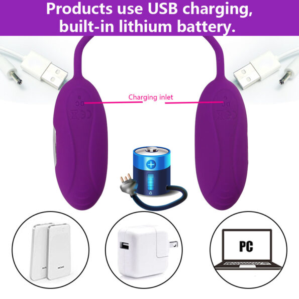 USB Powered Vibrating Double Dual Egg Bullet Vibe Vibrator (8)
