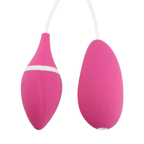 copy_of_Silicone_Remote_Control_Bullet_Vibrator_Purple_1548654866170_3