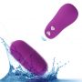 copy_of_Svakom_Luxury_Wireless_Remote_Egg_Vibrator__1548593143555_2