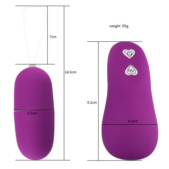 copy_of_Svakom_Luxury_Wireless_Remote_Egg_Vibrator__1548593143555_4