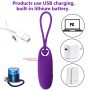 copy_of_Svakom_Luxury_Wireless_Remote_Egg_Vibrator__1548599057833_0