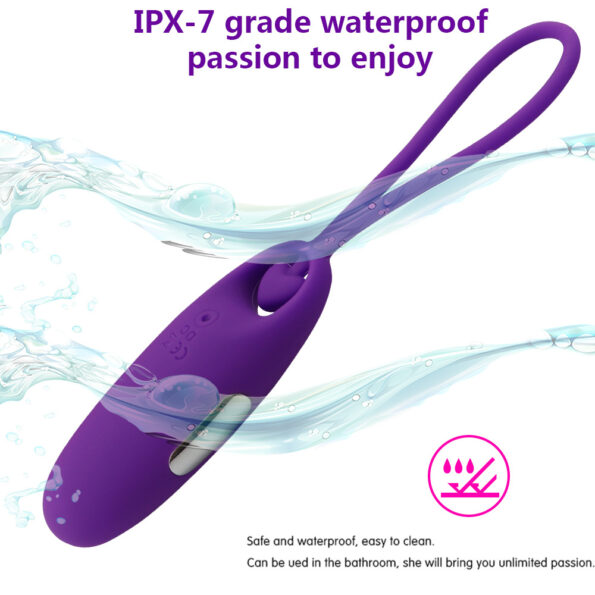 copy_of_Svakom_Luxury_Wireless_Remote_Egg_Vibrator__1548598945982_8