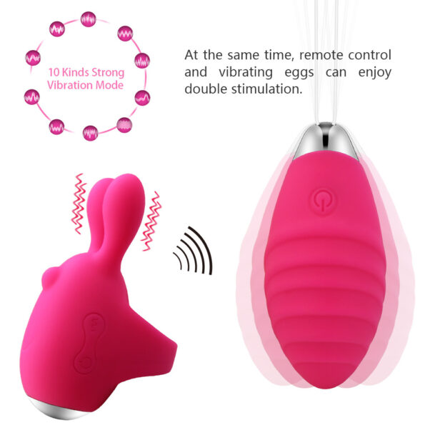 copy_of_Svakom_Luxury_Wireless_Remote_Egg_Vibrator__1548678207967_10