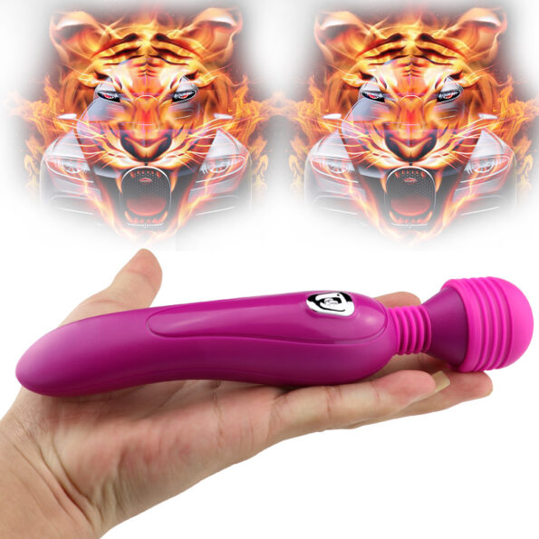 copy_of_The_Original_Rechargeable_Magic_Wand_Vibrator_1548486950103_0