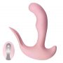 10 Speed Heating Remote Control Prostate Massager Anal Vibrator (1)