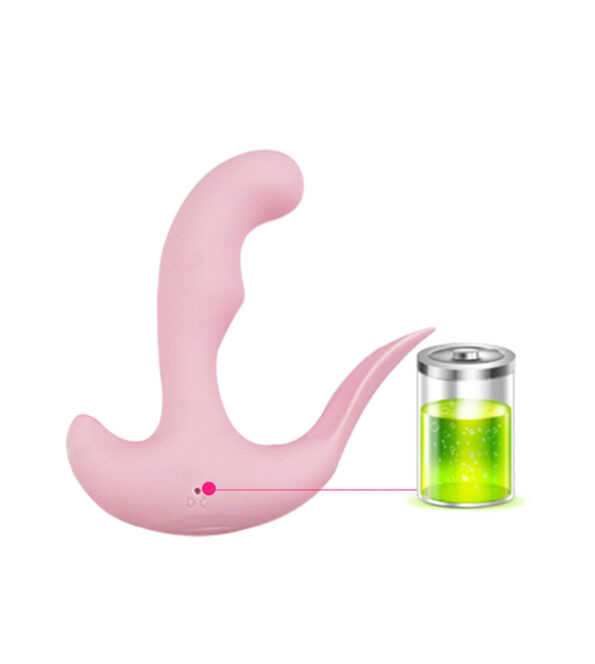 10 Speed Heating Remote Control Prostate Massager Anal Vibrator (4)