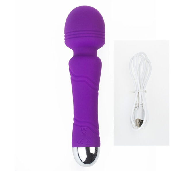 10 Frequency Vibration Mini Silicone AV Wand Massagers (6)