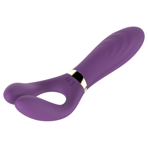 G-spot Clitoral Y-type Vibrator Masturbation Massager (11)