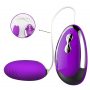 G spot Vibrating Clitoris Mouse Eggs Bullet Vibrator (1)