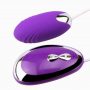 G spot Vibrating Clitoris Mouse Eggs Bullet Vibrator (1)