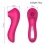 Sucking Tease Massager Clitoral G-Spot Vibrator (1)