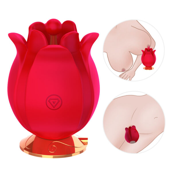 sucking vibrating egg,rose vibrating egg,rose G spot sucking vibrating egg,vibrating egg for women,egg vibrator stimulate,best egg vibrator