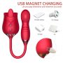 Rose 5.0 Double Heads Clitoral Licking Tongue Vibrator (1)